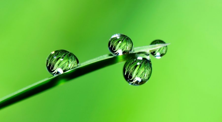 Angola: Scarcity of rains compromises harvest in Soyo