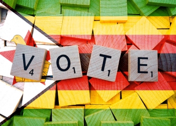 Zimbabwe Government considers diaspora vote
