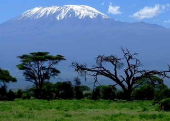 Tanzania’s measures to protect its tourism industry