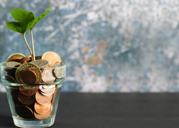 Top 5 ideas for small African Investors