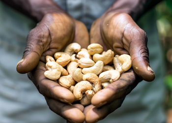 Africa’s top 5 agri-commodities for the next decade