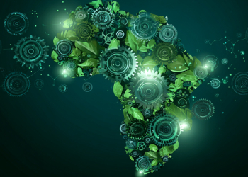 Empowering Africa’s SMEs through ESG: A Pathway to Global Markets