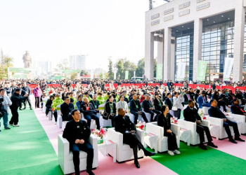 Ethiopia–China coffee drive reshapes export strategy